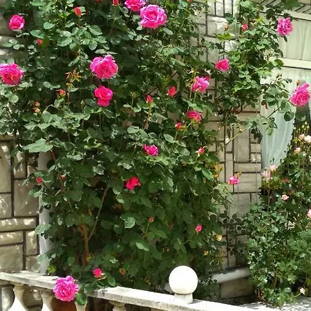 Konukevi Mania Kalofer