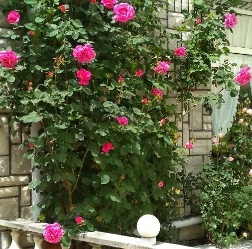 Konukevi Mania Kalofer